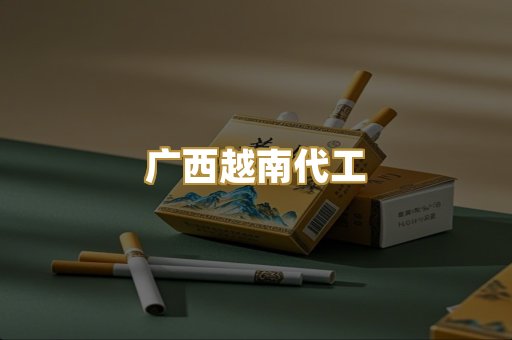 广西越南代工